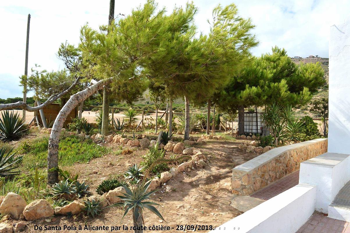 29 DE SANTA POLA A ALICANTE (38).JPG